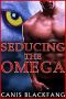 [Omegas Rough and Ready 01] • SEDUCING the OMEGA